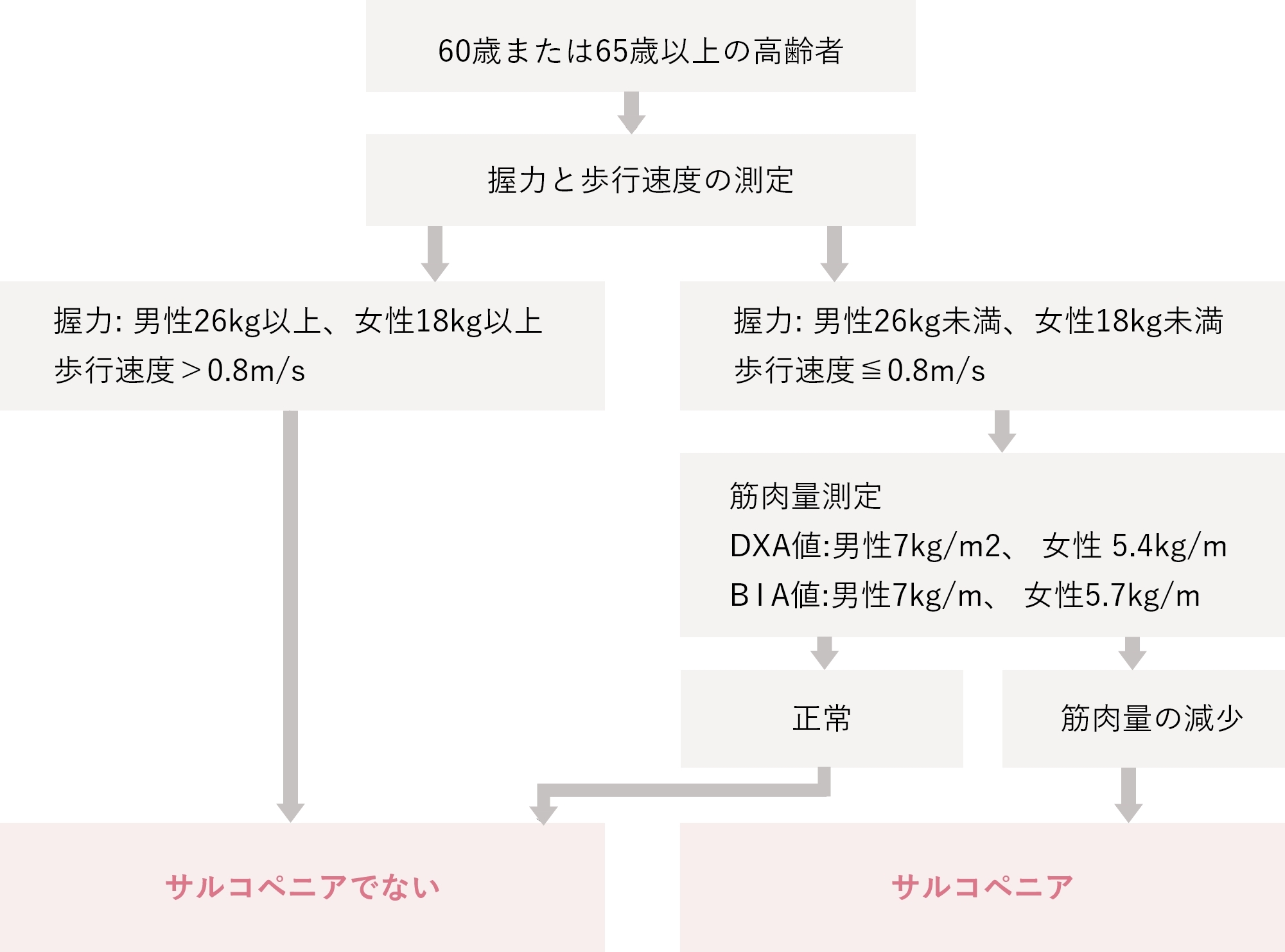 サルコペニアの診断手順（AWGS）